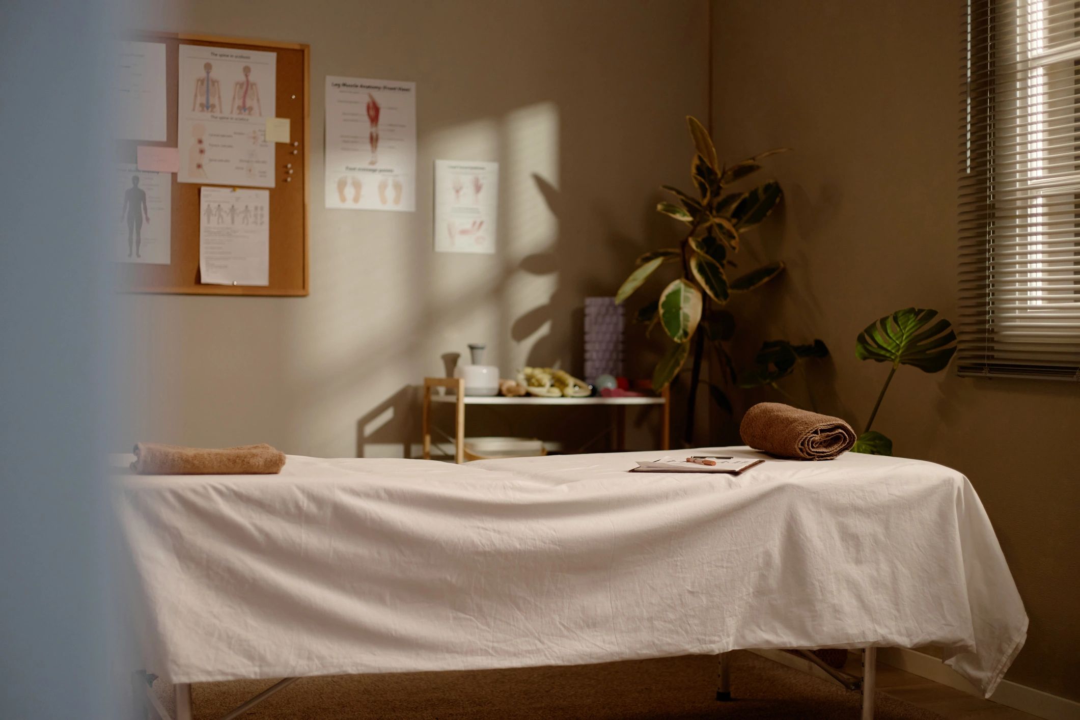 Professional wellness therapy room
